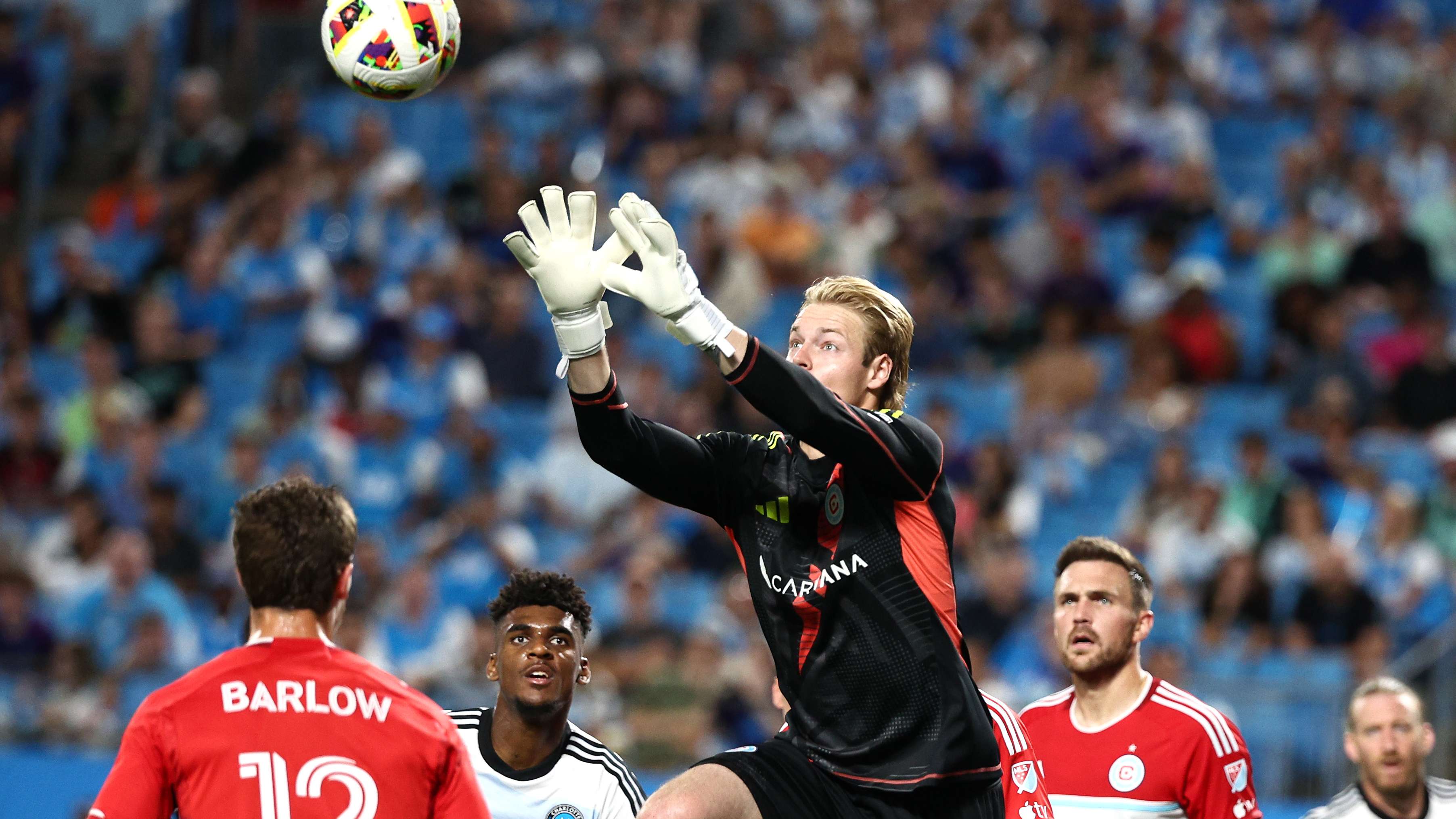 站穩了腳跟 站穩了腳跟