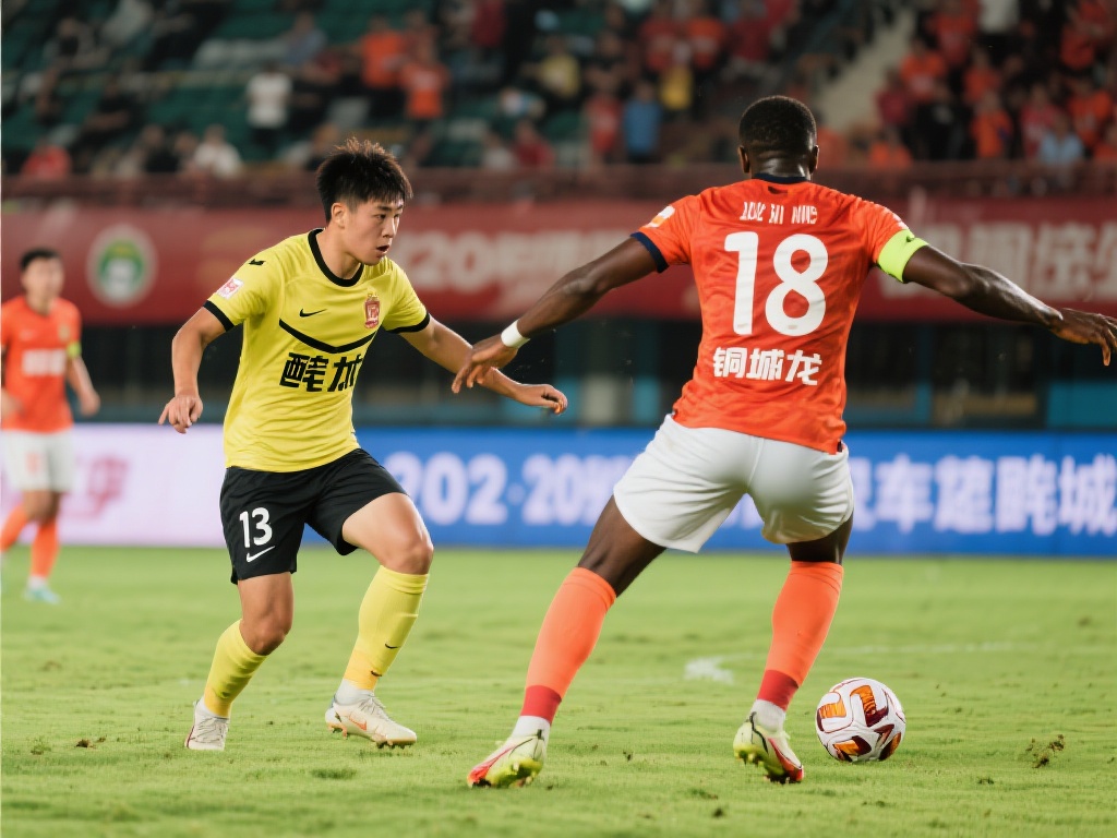 量身定制的 量身定制的